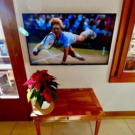 Am Thunersee, 4 Sterne Privatwohnung, 2 Schlafzimmer, Gratis Parkplatz, Seeblick