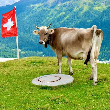 Am Thunersee, 4 Sterne Privatwohnung, 2 Schlafzimmer, Gratis Parkplatz, Seeblick Lägenhet *