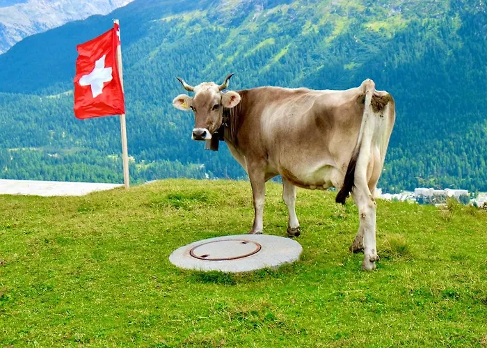 Am Thunersee, 4 Sterne Privatwohnung, 2 Schlafzimmer, Gratis Parkplatz, Seeblick דירה *