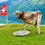 Am Thunersee, 4 Sterne Privatwohnung, 2 Schlafzimmer, Gratis Parkplatz, Seeblick Appartamento *